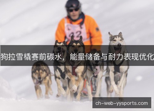 狗拉雪橇赛前碳水,能量储备与耐力表现优化 狗拉雪橇赛前碳水,能量储备与耐力表现优化